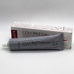Tintas SILKEY 120g - 10 / 10.1 / 1001 / 12